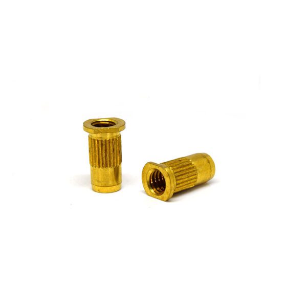 A pair of gold colored metal nuts.